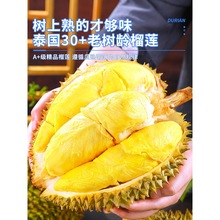 ̩��������ɏ�M�ڬF؛�ٰl���rˮ������10���������ɏ��S���x