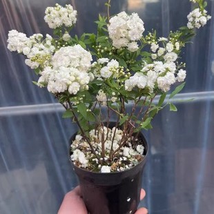 �ذ꽑���հ���С���򻨻ܾGֲ����ͥԺ�ͺ����~�������r�л��͟�