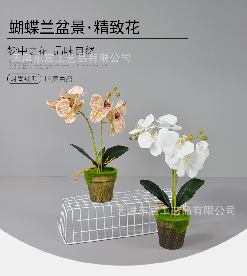 详情_03.png