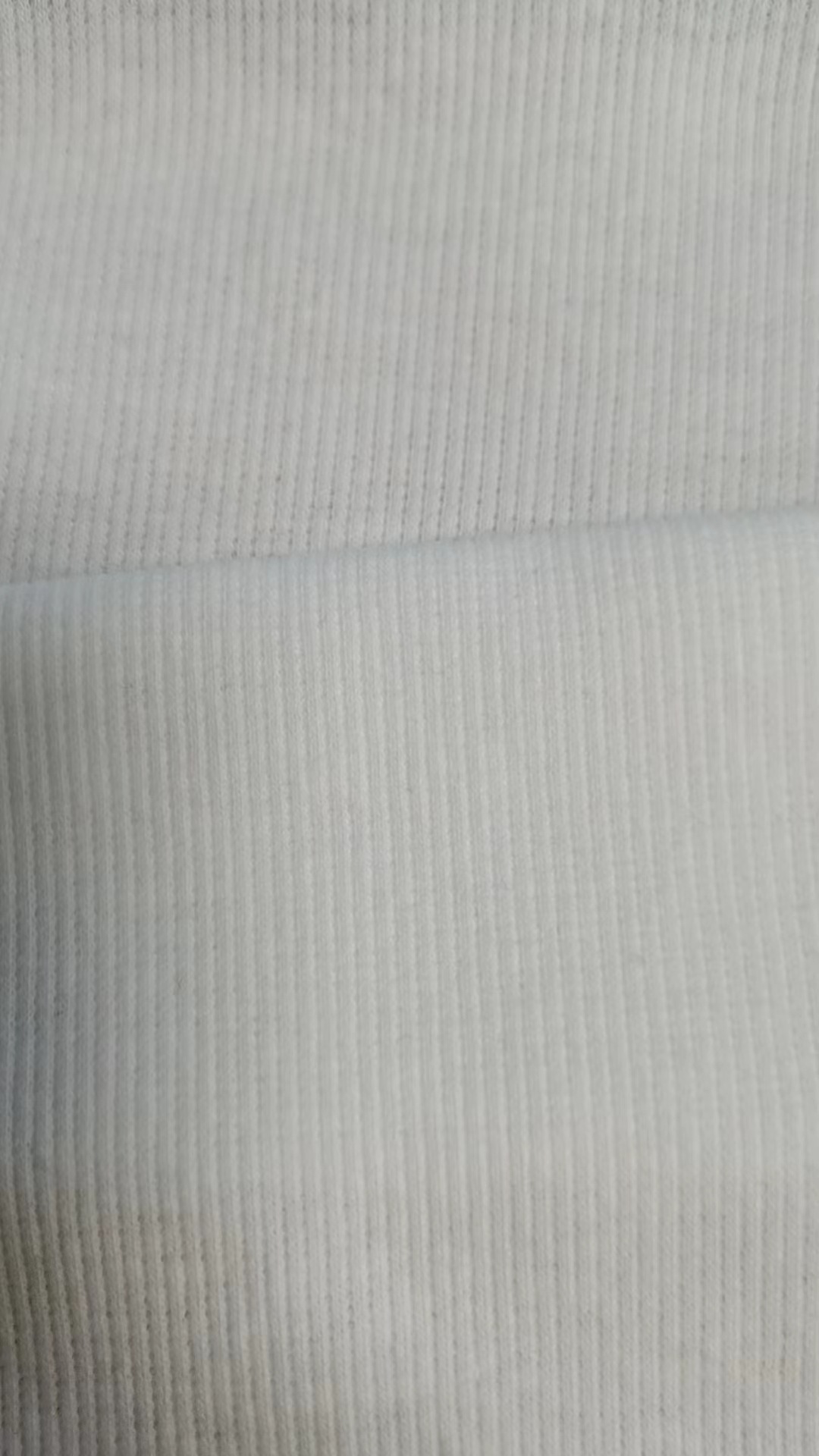 220gCVC2*2氨纶罗纹棉涤纶氨纶白色休闲服面料布料批发