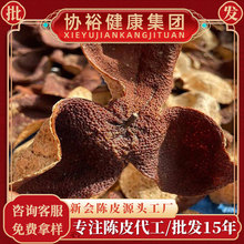 正宗新会十年老陈皮自然生晒茶枝柑梅江天马陈皮中药材正品陈皮干