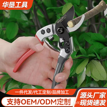 ��֦�􏗻ɻ��@�����@���辰��֦����SK5��м��È@ˇ��S�����l