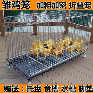 С�u�\�����r�\�Ӽ������� ��̖ �ش��҃��B�u�\���J���u�\��