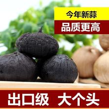 独头黑蒜精品黑蒜头山东蒜黑大蒜即食煲汤120天发酵