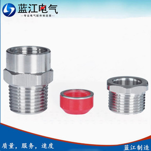 �{ʢ  ���P���|���Ϻ�304�F�ι��z�͸ߜ���|�A�o�ܷ���^���m