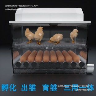 Incubator for Home Incubator Quail Full Duck Goose Small Automatic Incubator Hatching Chick Chick Pigeon