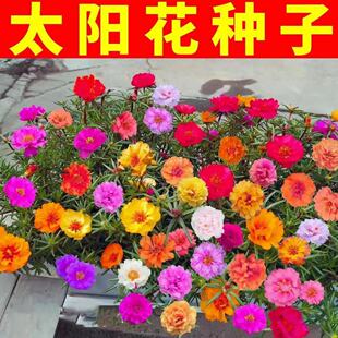 �W�t̫ꖻ��N���ļ�̫ꖻ��������׻��ذ�̫ꖻ��N�Ӱˌ�