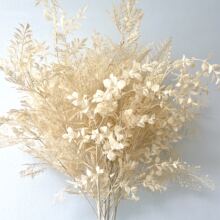 �㙉ɫϵ��c���滨 ��c��Y���ò廨��Y�õ�픻������ϻ����l