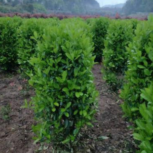 �������� ��ɺ��  ���ش��� �е��G�� ���~�S�� �f���� ���پG��