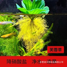 �~��ˮ��ˮ��ֲ�︡Ƽ�쾰�b������҃��B�����~���B����ˮ�|���
