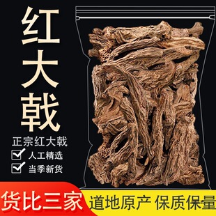 �t���ș�òļtѿ��ꪼt����t�}����ɳ�S��؛