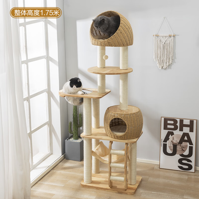 Rack de escalada para gatos, nido de gatos integral resistente al arañazo, tablero de agarre de gatos duradero y estable, juguetes para gatos, rack de árboles para gatos.