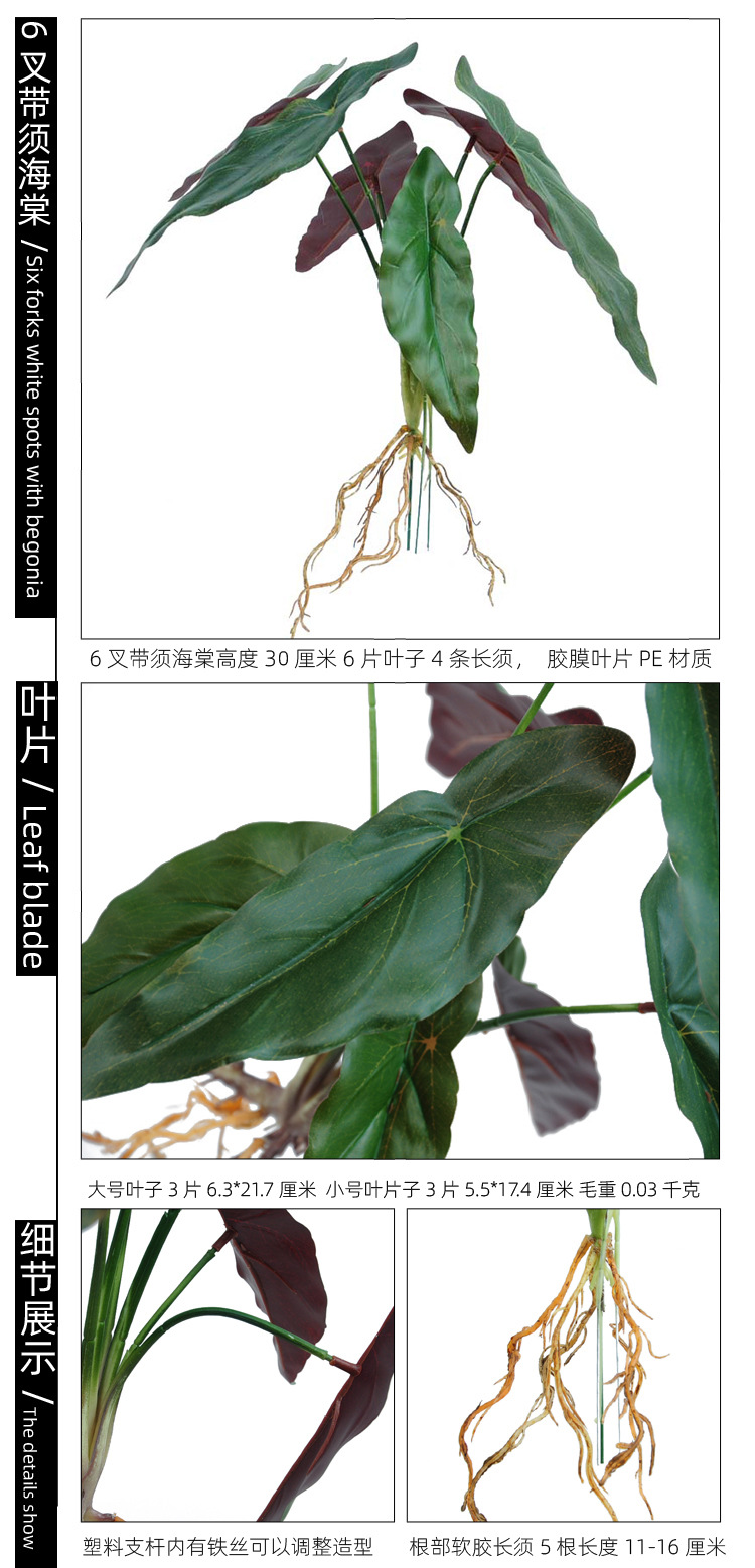 6叉带须海棠 副本副本