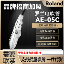 Roland�_�m늴���AE05C���I��Ӵ��ܘ�����_��˹���J�z����늹�