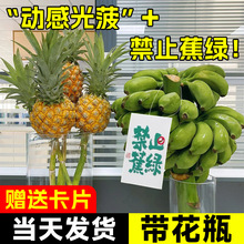 ��ֹ���G�㽶banana�W�t���}ˮ��ֲ������Gֲ�k����ˮ���P��Ž�