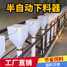 半自动下料器同步喂料定位栏料线母猪饲料桶定量杯猪下料斗喂料机