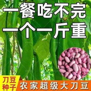 Red Cowpea Seeds, Giant Brazilian Beans, Soybean Seeds, Four-Season Vegetable Climbing Beans, Cowpea Seeds