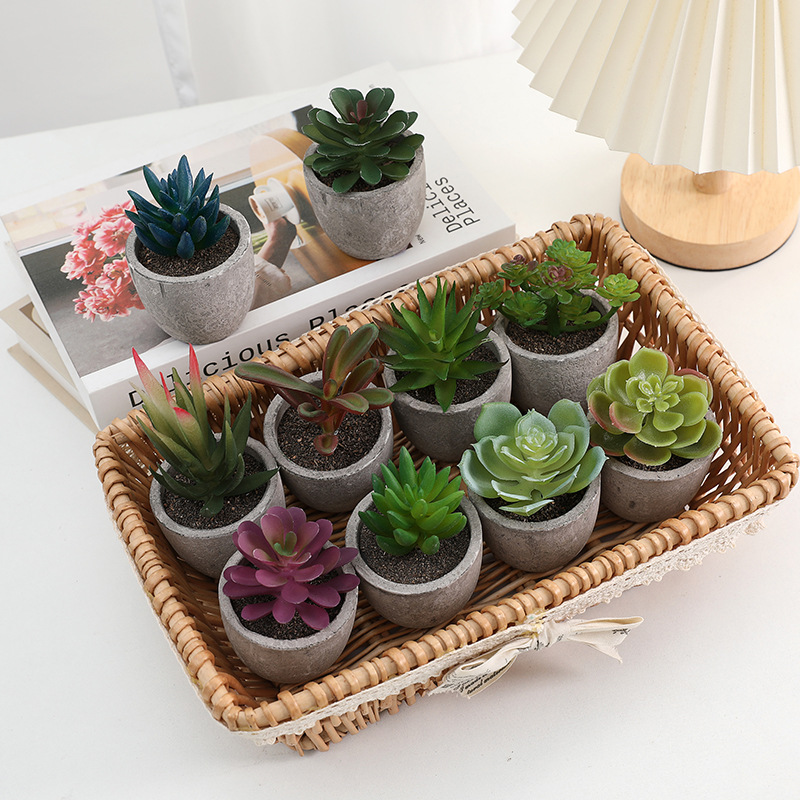 Pulpa artificial suculento bonsai planta verde bonsai chino decoración del hogar Decoración de escritorio mini pequeño bonsai árbol de simulación