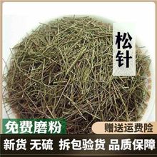 松针新货 松针茶 马尾松针 松树针叶干 包邮真货好货