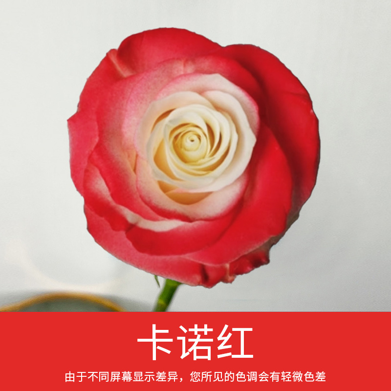 Material de embalaje de flores frescas Agente de tinción en aerosol de flores secas Salsa de ciruela negra Pintura en aerosol de flores Pintura en aerosol de flores Agente de color de flores