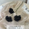 Ordinary diamond rose black