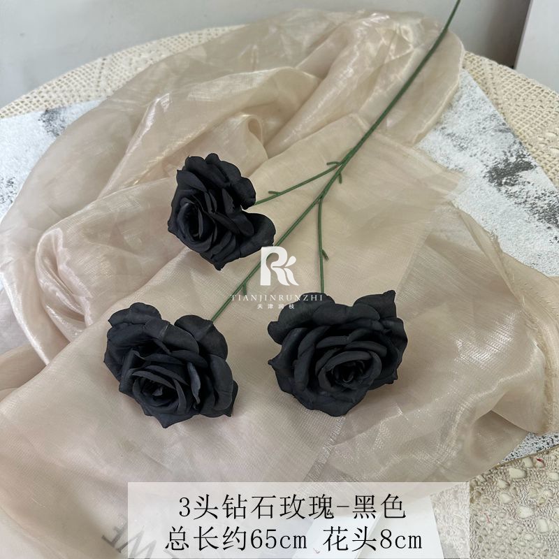 일반 다이아몬드 로즈 블랙