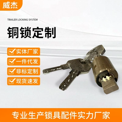 Manufacturer's All-Copper Atomic Lock Cylinder Parking Lock Motorcycle Electric Vehicle Trunk Single Blade Anti-Theft Rotor Lock Cylinder (Avtomobil qapı kilidi silindrləri)