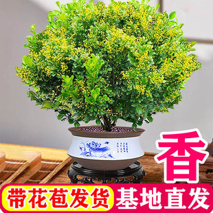 ��ˮ���m�����Ի��ܾGֲ�͏d�҃��Ϙ��������_�����B�ֲ̨�����
