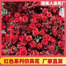 tɫ滨cûõmMǽٺϼٻtɫ滨l