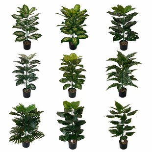 ����ֲ��30�^�����~ �f���� �����~ �ҾӔ[�O�@�־G���S��ֱ�N