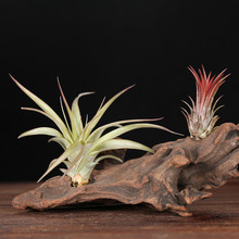 �՚��P��[��ֲ��o�����������ײͶ��՚�ݿ��P�Gֲ�͵����҃�