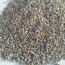 �|���a�� ������500�� С������ ���� ���� �B�Z ������ ����Z