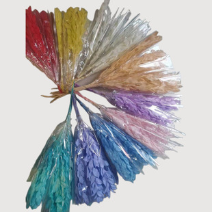 ÷�R�P���������~�羳��ɫ��Ʒ�������~��ˇ���Ͻ����~���l