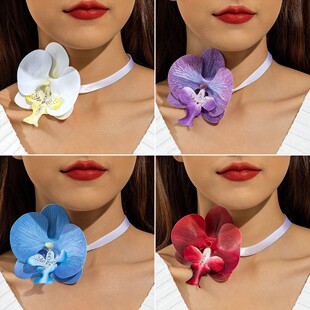 �W���Ʒ ���w��ɫ�����m��������  �����i������ĸ�H���Y��