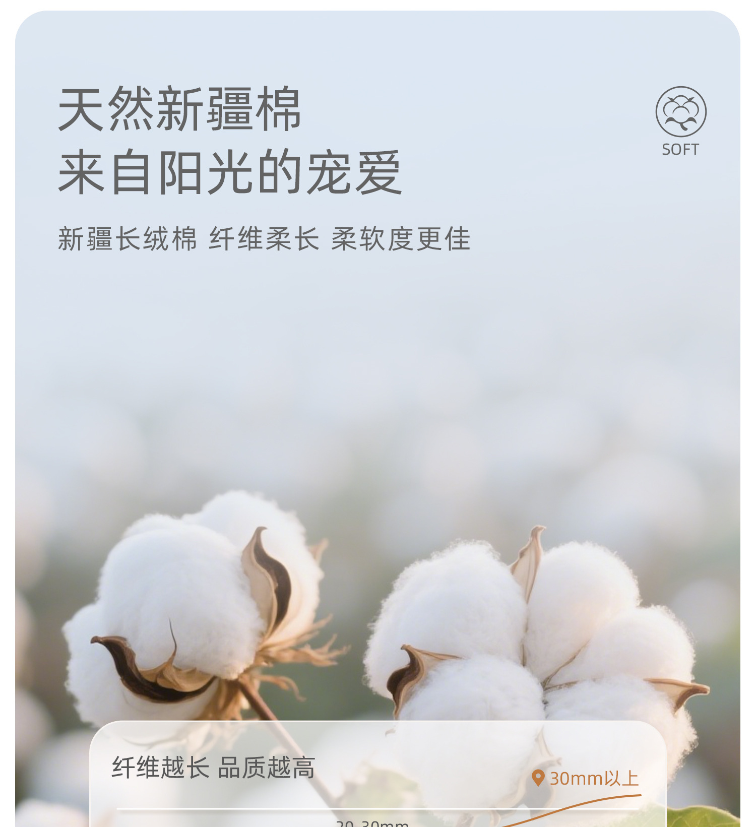 Details---Apricot_03
