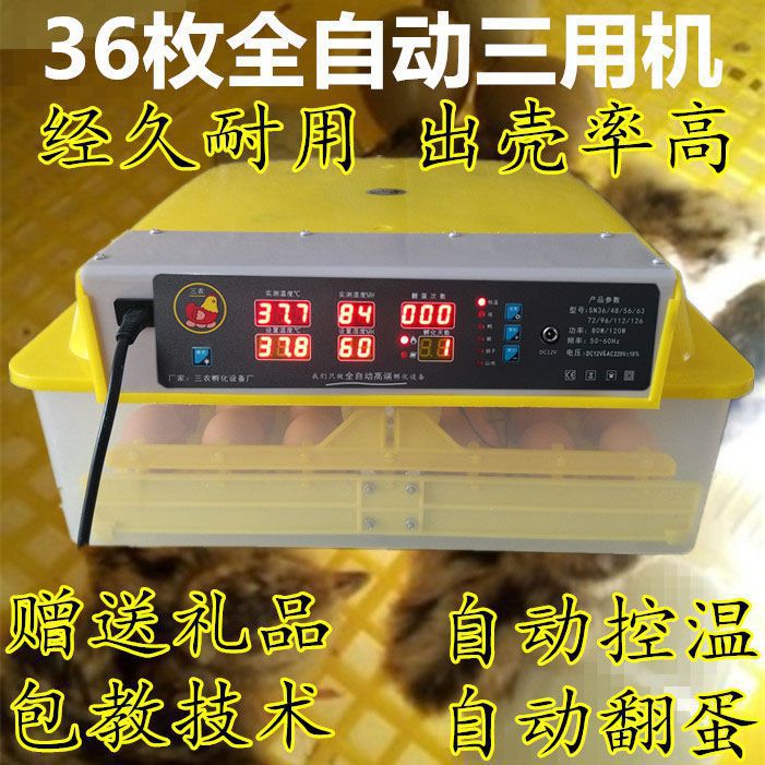 36개의 이중 전기 완전 자동 3목적 기계