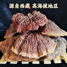 `֥Ұ؛ذһ`֥LɽӷƬYbL