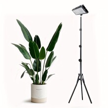 50W-Z �J�C�Rȫ �羳����  LEDֲ�����L�� ���ҟ�USB�ӿ�