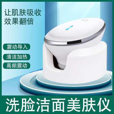 批發按摩震動洗臉儀毛刷頭潔面刷毛孔清潔器電動洗臉刷美容潔面儀