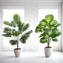 �羳12-18-24�~����Gֲ���Դ��ͷ����ֲ���쾰�٘�����䳣�G��