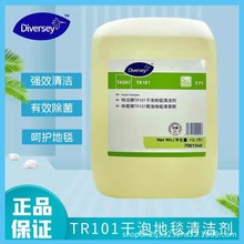 泰华施特洁牌TR101干泡地毯清洁剂10L7001340无泡清洗强力去污液