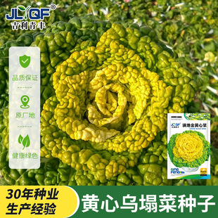 �S�Ğ��˷N�Ӟ����˷N���ļ��ײ�ѩ�������߲˺ڲ��ﶬ����