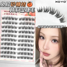 XOYO���������z�ٽ�ë���ܷ�������ë�δؑ����۽�ë�����ֶ���Ȼ