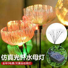 �羳̫��ܹ��wˮĸ��LED�����ˮͥԺ�b���ƺ�ز�����^�ʟ�