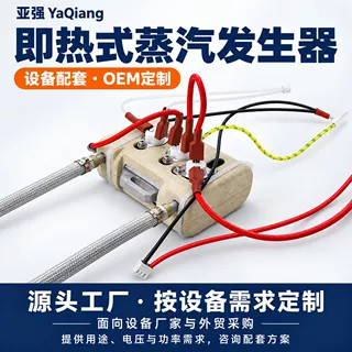 即热式小型蒸汽发生器电加热蒸汽模块设备配套支持OEM定制