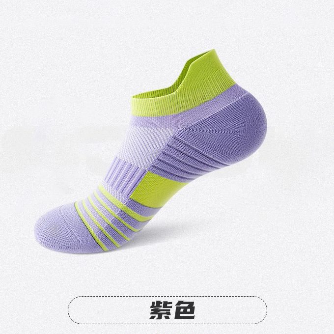 보라색