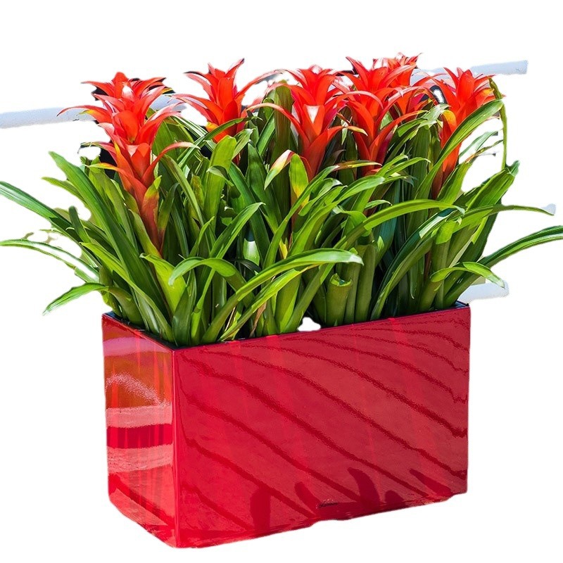 Suministro directo de fábrica Nordic maceta pintura Hotel rectangular piso auto-absorbente Nordic maceta al por mayor