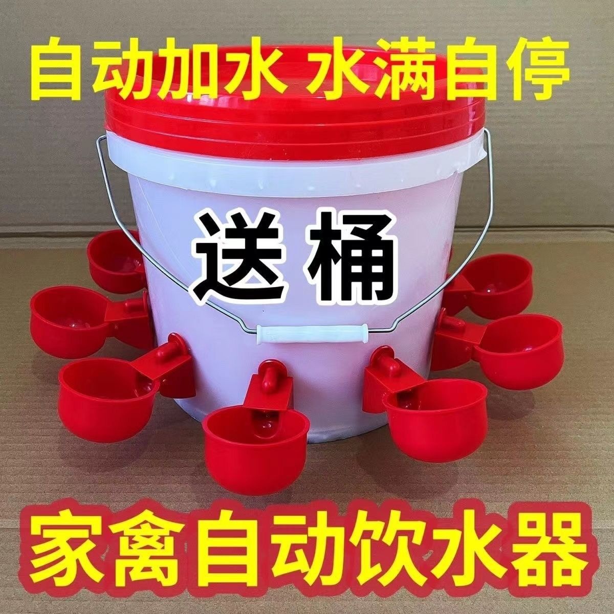 Poultry automatic drinking water heater Pigeon raising chicken…