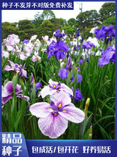 �S���ѷN��ˮ���Sβ�޸�ˮ�����ܷN���S���Sβ���s�������ѷN��