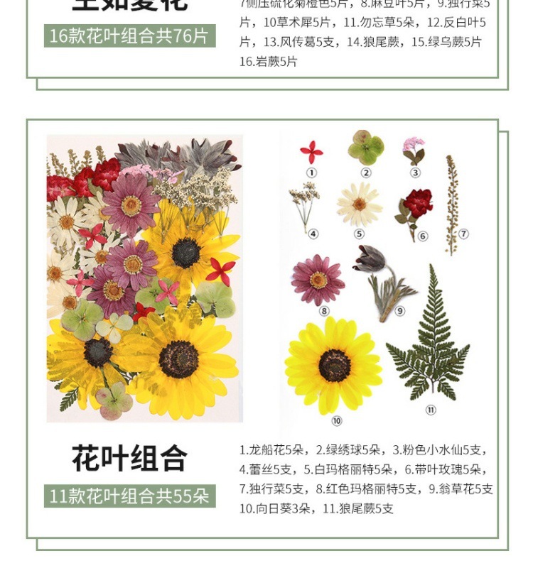 09b13c90-6843-4829-b391-556e2f79f2f2.jpe